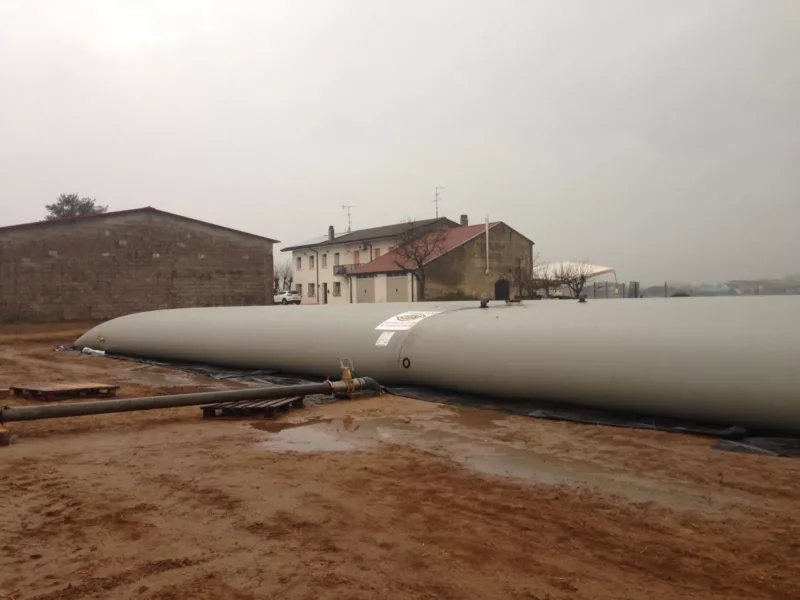 ¡Primicia mundial! ¡Primicia mundial!