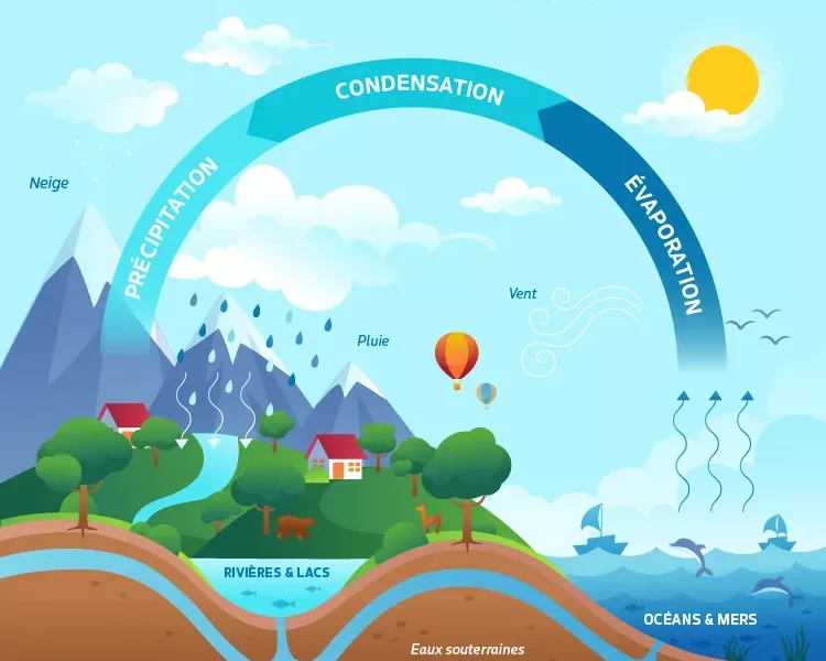 Las aguas subterráneas: un recurso invisible Las aguas subterráneas: un recurso invisible