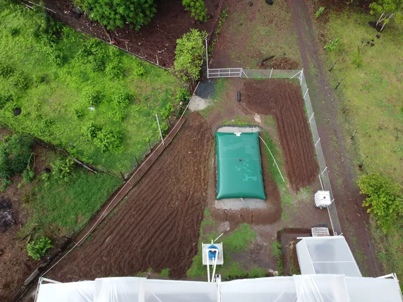 Recogida de agua de lluvia en una explotación agrícola Recogida de agua de lluvia en una explotación agrícola