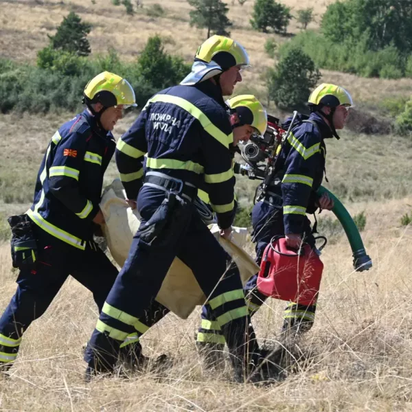 Mecenazgo 2023 – Working Together